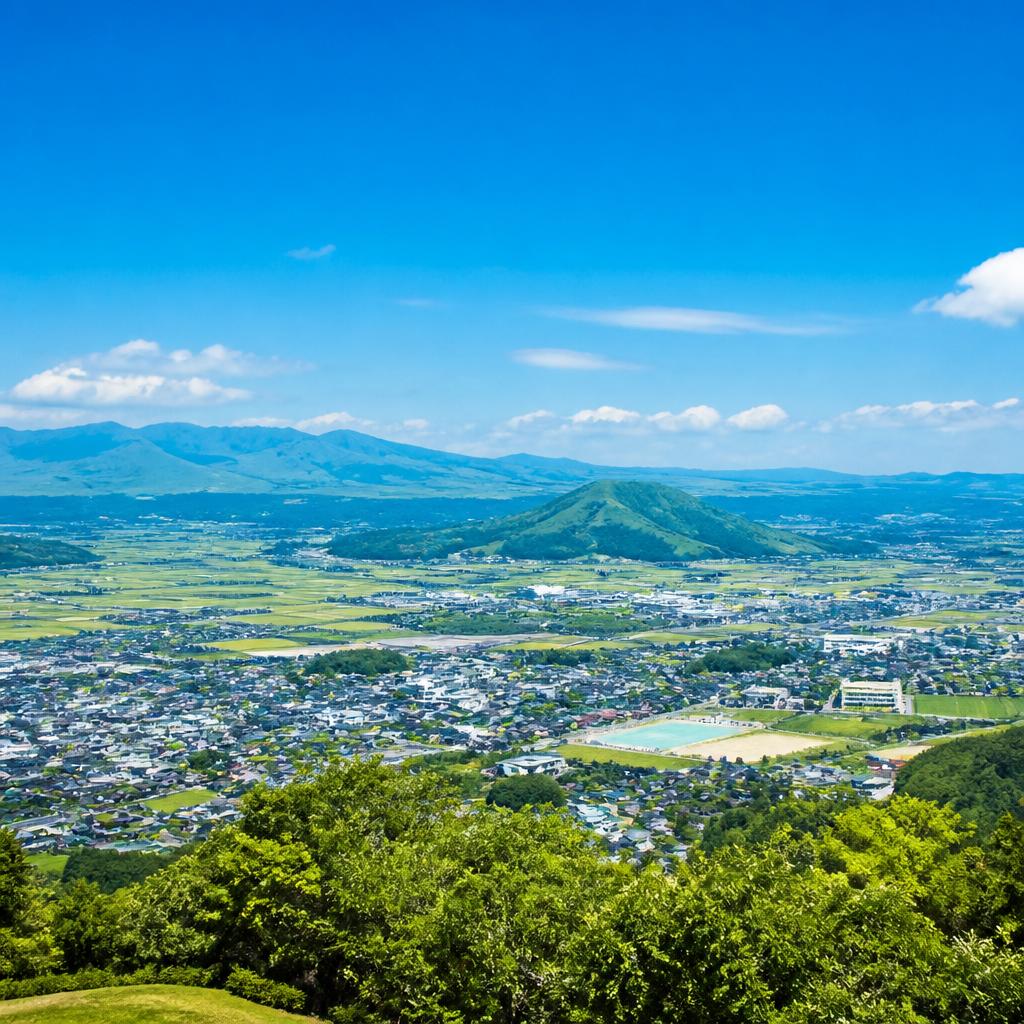 地域密着で信頼される存在